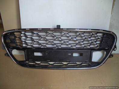 Citroen C3 bumper grill