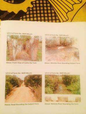 Commercial farm land for sale in Zambia