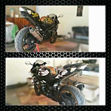 Costume 2005 Suzuki GSXR 1000