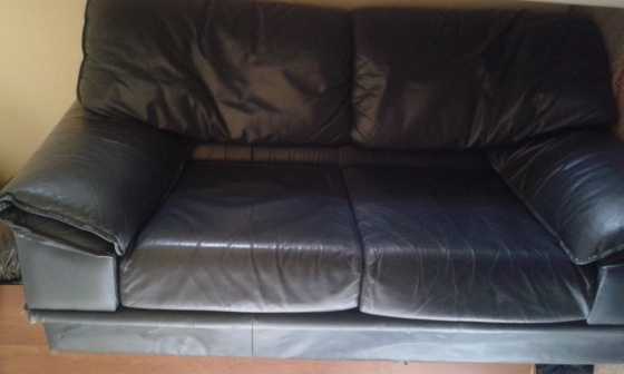 Dark Blue two seater Genuine leather Couch