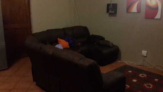 Dark brown couches