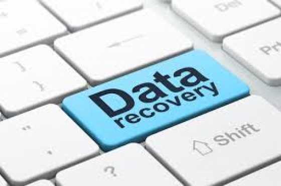 Data Recovery and Virus Removal