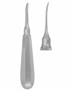 Dental Instruments, Dental Instruments Wholesalers, Dental Instruments Suppliers, Dental Instruments