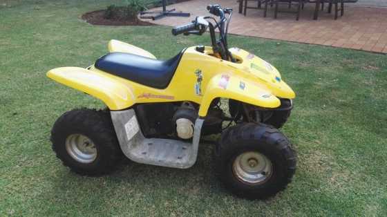 Dinli 50cc Kids Quad