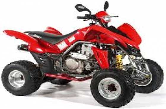 Dinli Quads spares and repairs and Pickup and delivery in Boksburg area