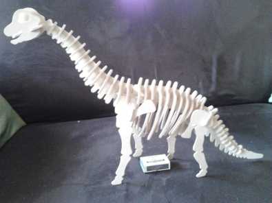 Dinosaur bone wooden models