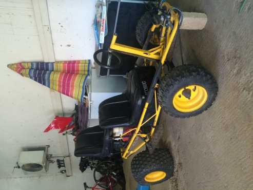 Eco bug go cart 200cc Honda