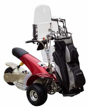 Electric Utility Rider- Golf Kart