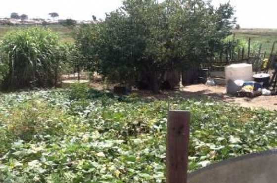 Empty stand for sale in ivory park