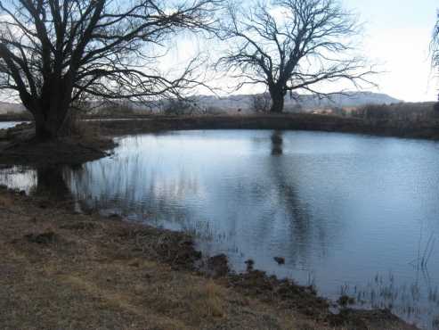 Farm for sale in Dullstroom