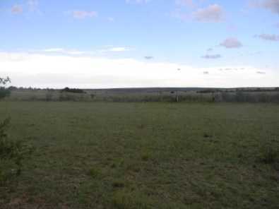 Farm For Sale Near Main Road