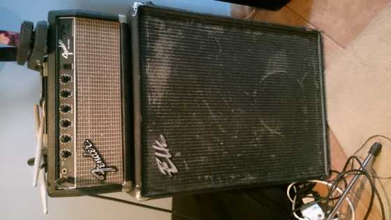 Fender bass amp SK100B with ELK CAB