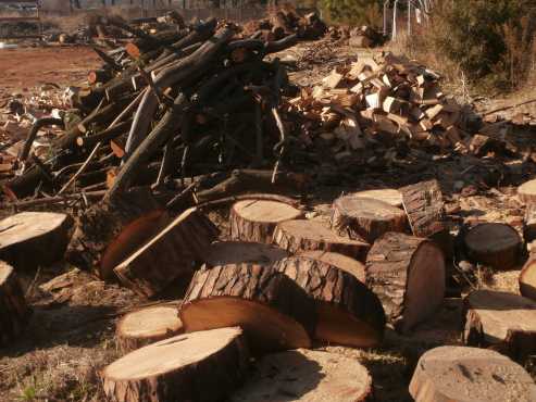 Firewood Winter end  clearance sale