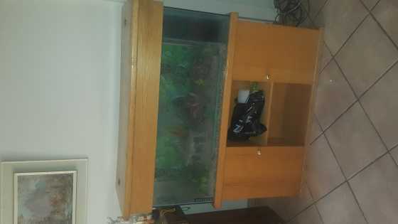 Fish tank for sale