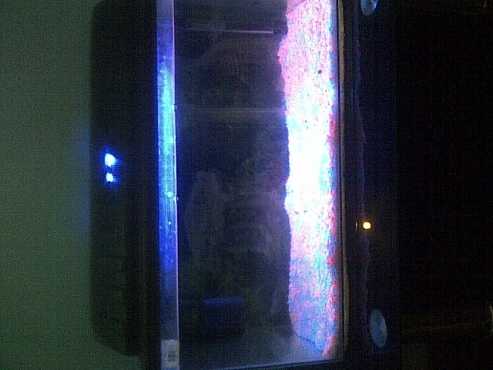 fish tank for sale R2,000
