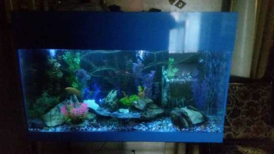 Fish tank for swop