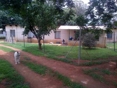 Flat on R59 on a smallholding - pet friendly