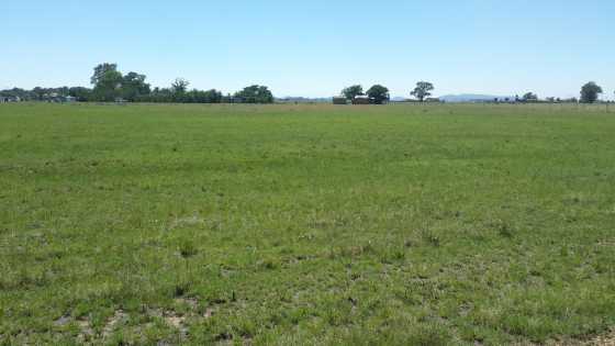 FOR SALE  VACANT PLOT - 2.6475HA IN BOLTONWOLD, MEYERTON