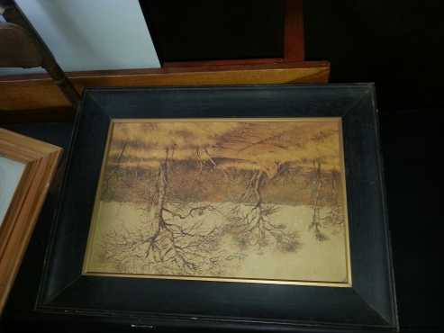 Framed Bushveld