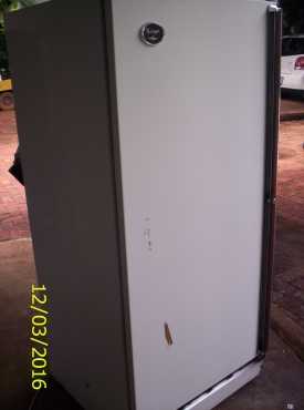 Fuchs-Ware Stand-up Freezer