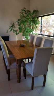 Fully upholstered 8 seater, kiaat dining room suite