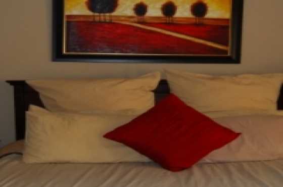 Furnished room in Guesthouse Roodeplaat (Pretoria)