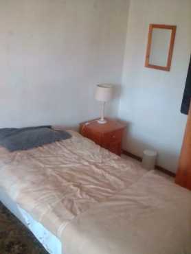Furnished SINGLE ROOM to rent in Primrose