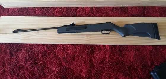 Gamo Air Rifle