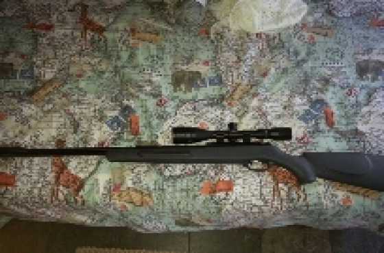 Gamo Cfx air rifle