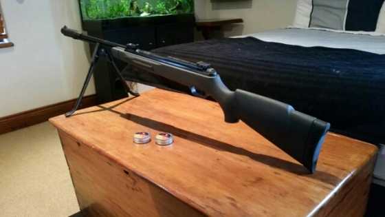 Gamo CFX rifle bargain pellet gun
