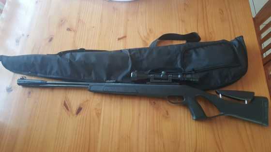 Gamo pellet gun