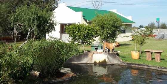 Garden cottage Benoni, Awesome, new and spacious on beautiful plot. secure and quiet