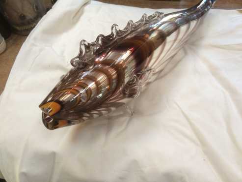 Glass fish