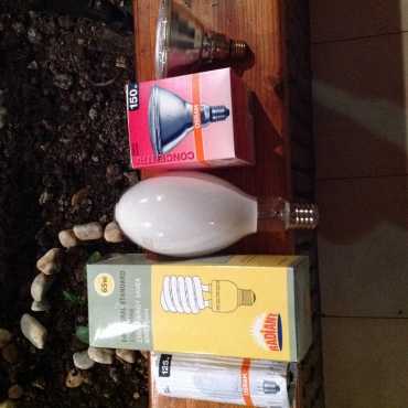 Globes BRAND NEW Osram amp Philipps