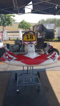 Go-Kart Birel