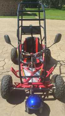 GoKart196CC