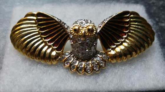 Gold owl broach