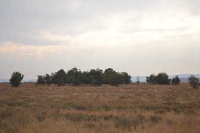 GOLDEN VALLEY MAGALIESBURG - 22 HECTARE UN-DEVELOPED LAND