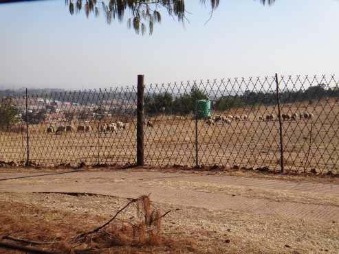 Grazing land, farm, for sheep, cattle, horses, Kudu, BUCK,impala.