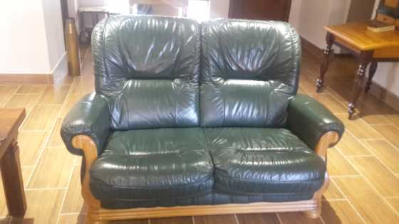 Green leather lounge set