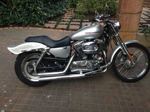 Harley Davidson 1200c Sportster