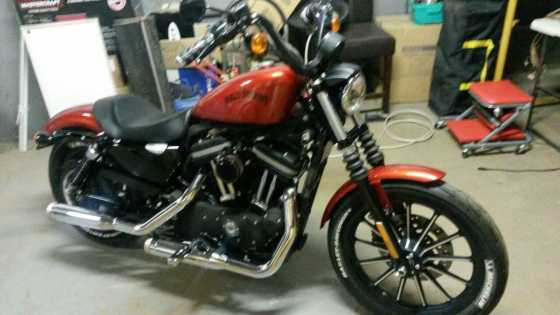 HARLEY DAVIDSON  Sportster Mini Ape 0828710817