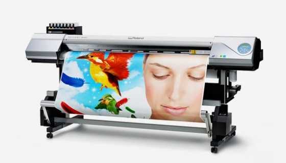 Head Print Cut Wide Format Mimaki Eco Solvent Printer