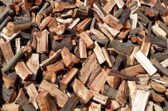 High Quality Firewood for sale