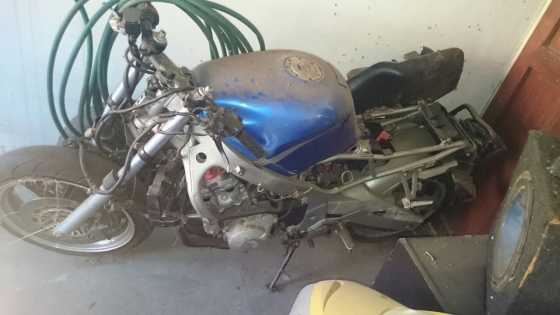 Honda CBR 600 for sale