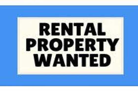 houses to rent wanted