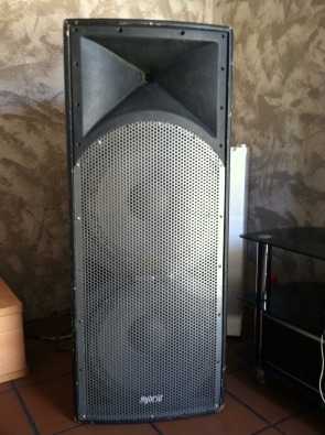 Hybrid PLB215 Speaker