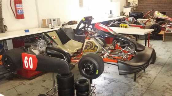 Intrepid DD2 - Rotax Kart