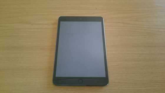 Ipad mini Retina