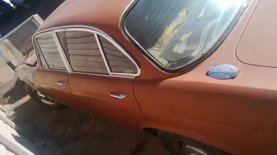 Jaguar for sale